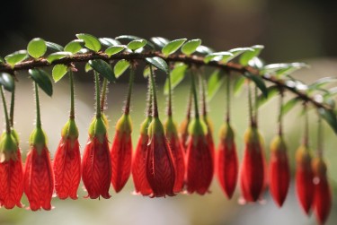 东莞谢岗2私人快速借钱网，轻松解决资金难题