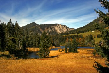 东莞谢岗2民间私贷攻略：揭秘低成本借贷的秘密