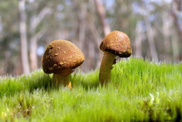 东莞谢岗2私人老板放款：轻松融资的秘密通道